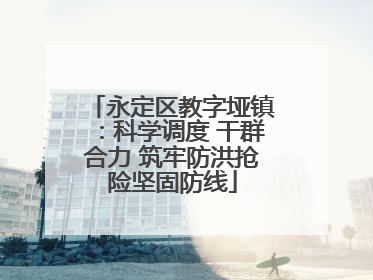 永定区教字垭镇：科学调度 干群合力 筑牢防洪抢险坚固防线