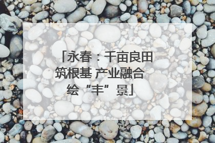 永春：千亩良田筑根基 产业融合绘“丰”景