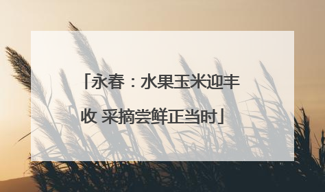 永春：水果玉米迎丰收 采摘尝鲜正当时