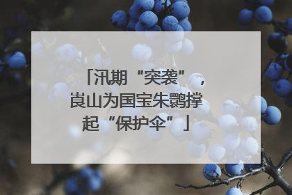 汛期“突袭”，崀山为国宝朱鹮撑起“保护伞”