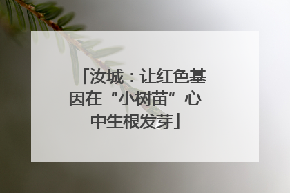 汝城：让红色基因在“小树苗”心中生根发芽
