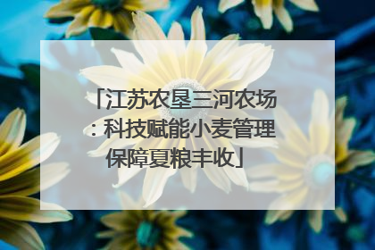 江苏农垦三河农场：科技赋能小麦管理保障夏粮丰收