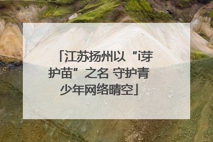 江苏扬州以“i芽护苗”之名 守护青少年网络晴空