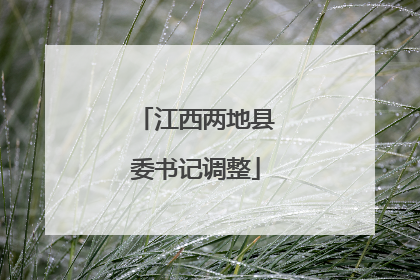江西两地县委书记调整