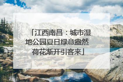 江西南昌：城市湿地公园夏日绿意盎然 荷花渐开引客来
