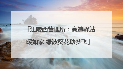 江陵西管理所：高速驿站暖如家 绿波葵花助梦飞