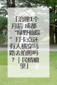 治理1个月后 成都“绿野仙踪”打卡点还有人横穿马路去拍照吗？｜民情瞭望