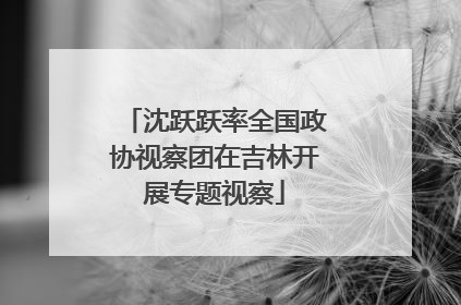沈跃跃率全国政协视察团在吉林开展专题视察