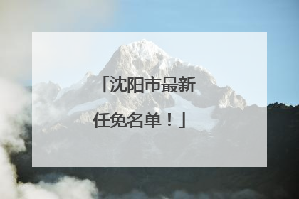 沈阳市最新任免名单！
