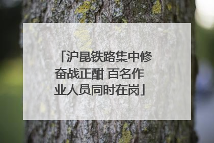 沪昆铁路集中修奋战正酣 百名作业人员同时在岗