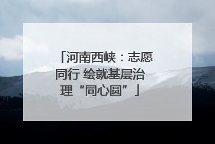 河南西峡：志愿同行 绘就基层治理“同心圆”