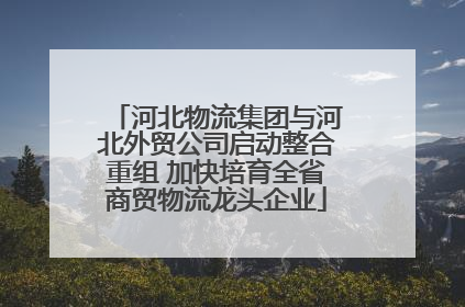 河北物流集团与河北外贸公司启动整合重组 加快培育全省商贸物流龙头企业
