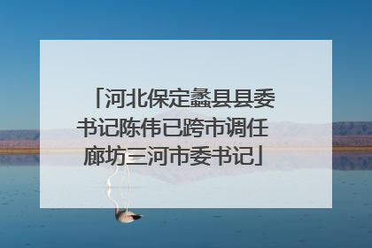 河北保定蠡县县委书记陈伟已跨市调任廊坊三河市委书记