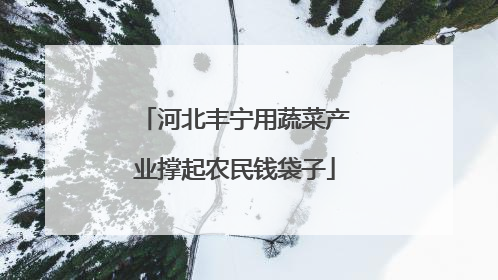 河北丰宁用蔬菜产业撑起农民钱袋子