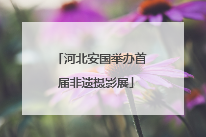 河北安国举办首届非遗摄影展