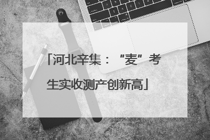 河北辛集：“麦”考生实收测产创新高