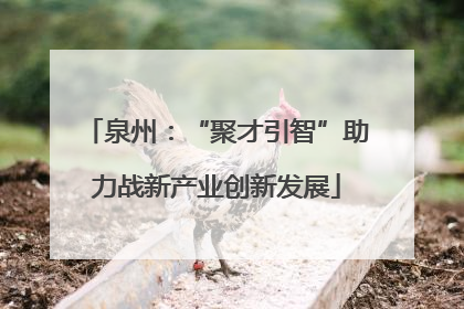泉州：“聚才引智”助力战新产业创新发展
