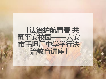 法治护航青春 共筑平安校园——六安市毛坦厂中学举行法治教育讲座