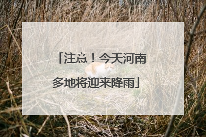 注意！今天河南多地将迎来降雨