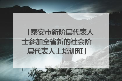 泰安市新阶层代表人士参加全省新的社会阶层代表人士培训班