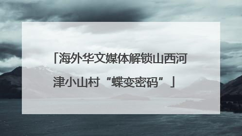 海外华文媒体解锁山西河津小山村“蝶变密码”