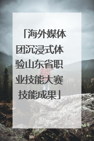 海外媒体团沉浸式体验山东省职业技能大赛技能成果