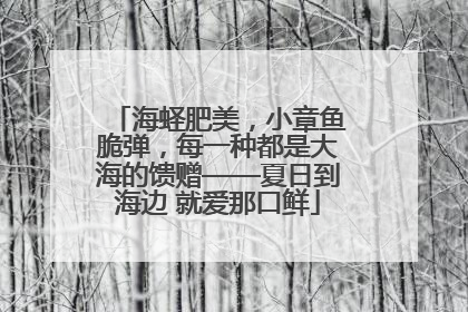 海蛏肥美，小章鱼脆弹，每一种都是大海的馈赠——夏日到海边 就爱那口鲜