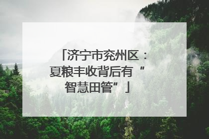 济宁市兖州区：夏粮丰收背后有“智慧田管”