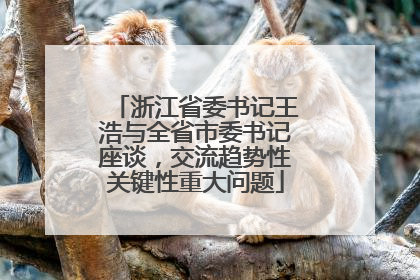 浙江省委书记王浩与全省市委书记座谈，交流趋势性关键性重大问题