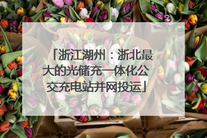 浙江湖州：浙北最大的光储充一体化公交充电站并网投运