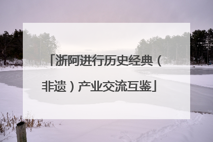 浙阿进行历史经典（非遗）产业交流互鉴
