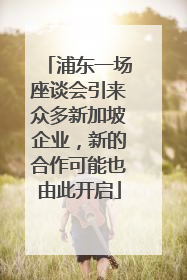 浦东一场座谈会引来众多新加坡企业，新的合作可能也由此开启