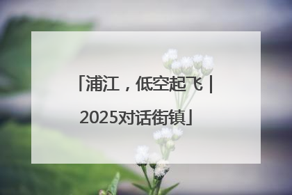 浦江，低空起飞｜2025对话街镇