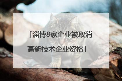 淄博8家企业被取消高新技术企业资格