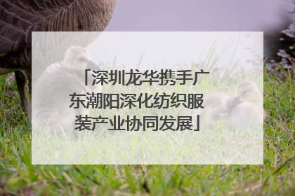 深圳龙华携手广东潮阳深化纺织服装产业协同发展