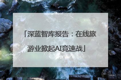 深蓝智库报告：在线旅游业掀起AI竞速战