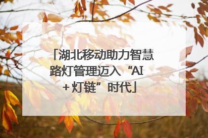 湖北移动助力智慧路灯管理迈入“AI＋灯链”时代