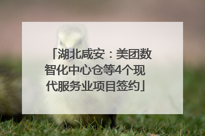 湖北咸安：美团数智化中心仓等4个现代服务业项目签约