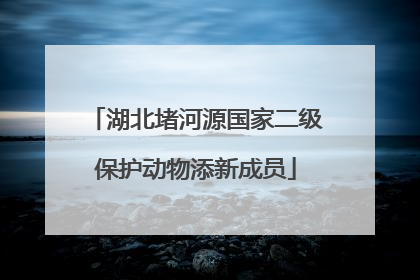 湖北堵河源国家二级保护动物添新成员