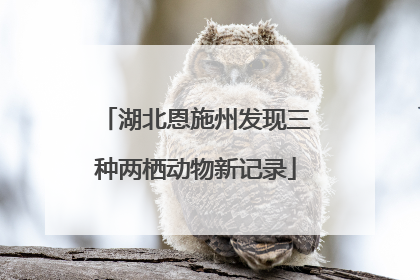 湖北恩施州发现三种两栖动物新记录