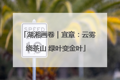 湖湘画卷｜宜章：云雾绕茶山 绿叶变金叶