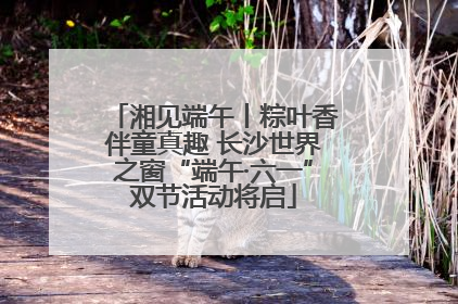 湘见端午丨粽叶香伴童真趣 长沙世界之窗“端午·六一”双节活动将启