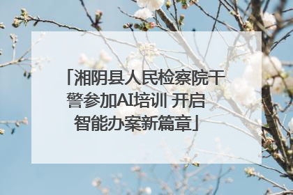 湘阴县人民检察院干警参加AI培训 开启智能办案新篇章