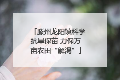 滕州龙阳镇科学抗旱保苗 力保万亩农田“解渴”