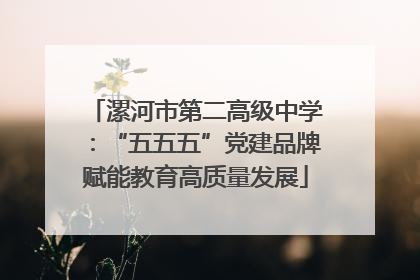 漯河市第二高级中学：“五五五”党建品牌赋能教育高质量发展