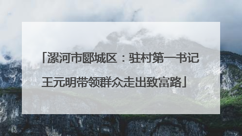 漯河市郾城区：驻村第一书记王元明带领群众走出致富路