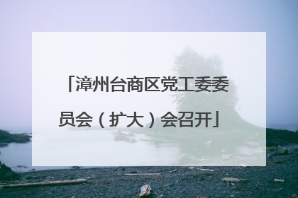 漳州台商区党工委委员会（扩大）会召开