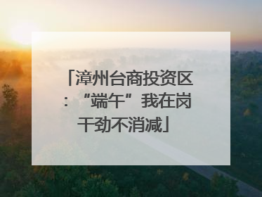 漳州台商投资区：“端午”我在岗 干劲不消减
