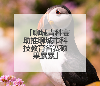 聊城青科赛助推聊城市科技教育省赛硕果累累
