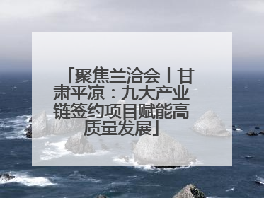 聚焦兰洽会丨甘肃平凉：九大产业链签约项目赋能高质量发展